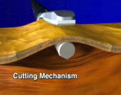 cutting mechanism